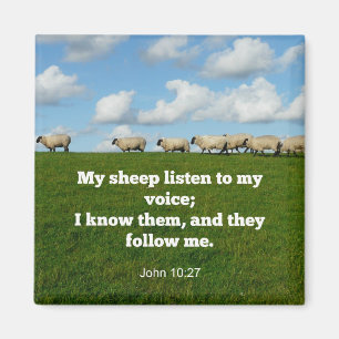 Íman Verso Bíblia, John 10:27, minhas ovelhas...