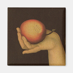 Íman Véspera, 1528