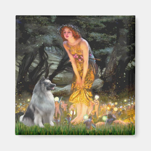Íman Véspera de Solstício de Verão - Keeshond (Frente)