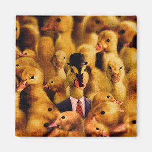 Íman Vestido para o pato do sucesso