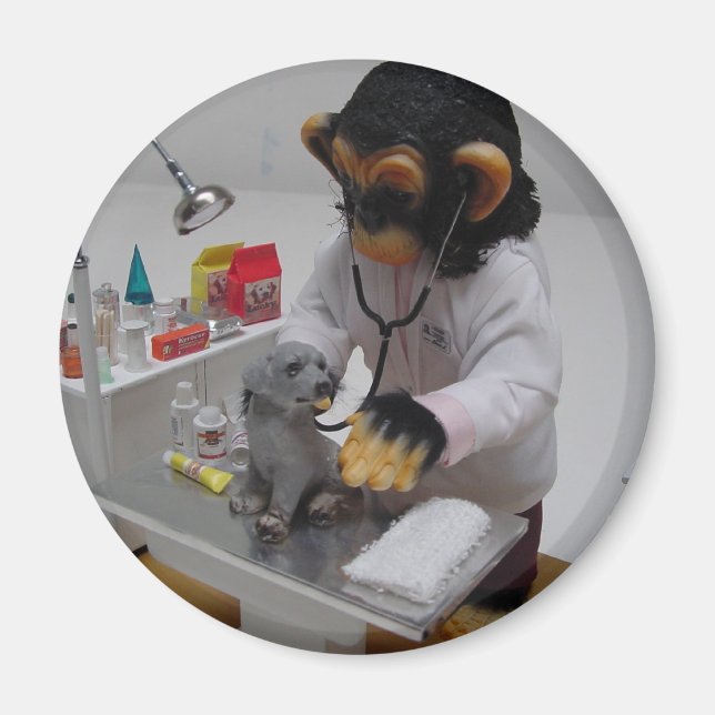 Íman Veterinário (Frente)