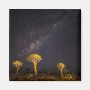 Íman Via Láctea Quiver Tree Keetmanshoop Namíbia