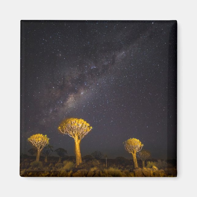 Íman Via Láctea Quiver Tree | Keetmanshoop Namíbia (Frente)