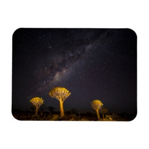 Íman Via Láctea Quiver Tree Keetmanshoop Namíbia