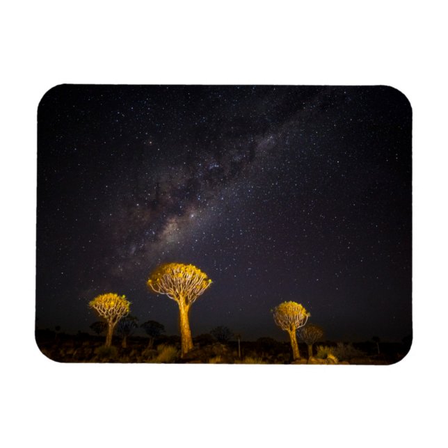 Íman Via Láctea Quiver Tree | Keetmanshoop Namíbia (Horizontal)