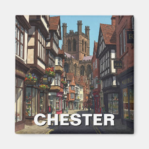 Íman Viagem da Catedral Chester England