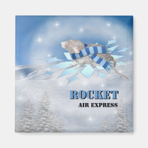 Íman Viagem de Winterland