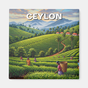 Íman Viagem do Ceilão no Sri Lanka