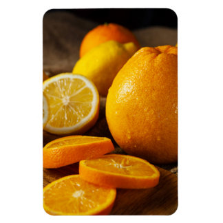 Íman Vibrant Citrus Fruits Refrigerator Magnet