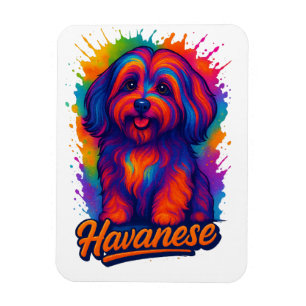 Íman Vibrante Arte Pop de Cachorro Havanês – Arte Urban