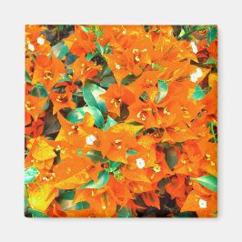 Íman Vibrantes Flores de Bougainvillea Laranja