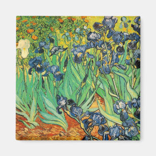 Íman Vicent van Gogh, Íris