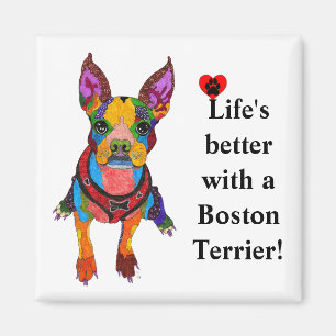 Íman Vida bonito melhor com um ímã de Boston Terrier