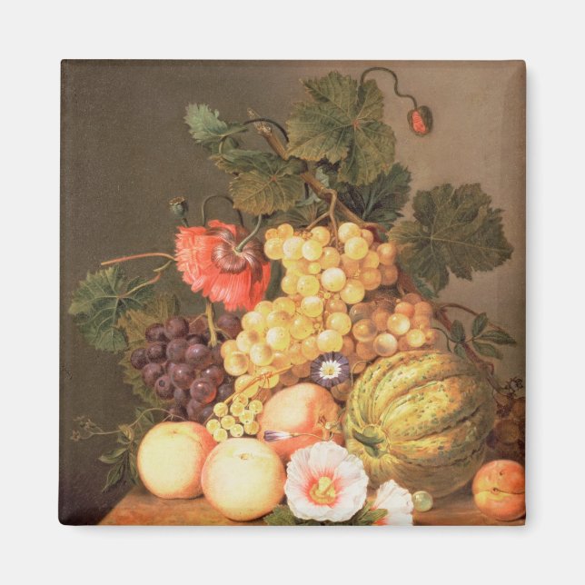 Íman Vida contínua com fruta (Frente)