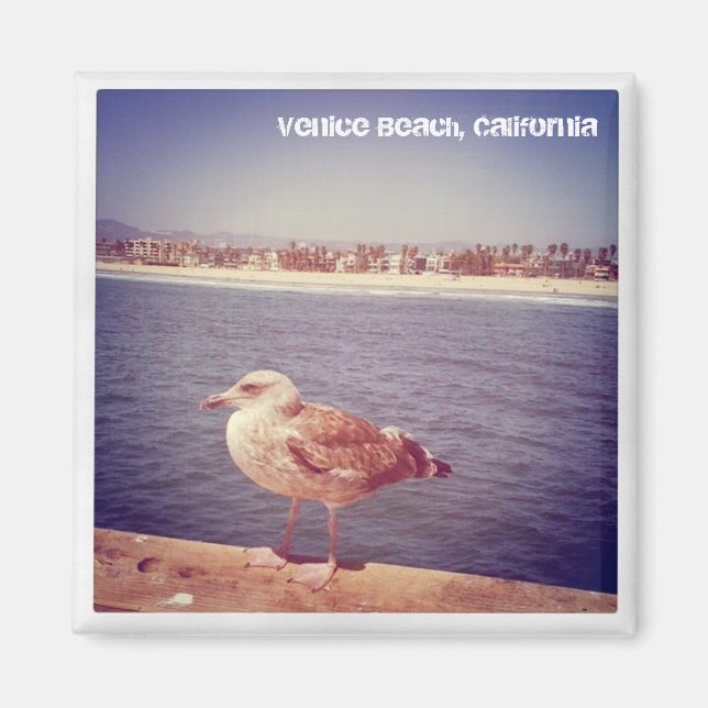 Íman vida de um gaivota (Frente)