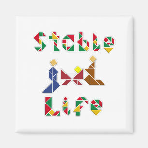 Íman Vida estável