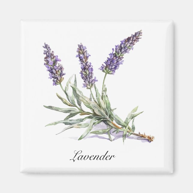 Íman Vida Herbal: Lavanda, personalizável (Frente)