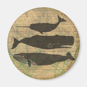 Íman Vida marítima náutica antiaérea de baleia