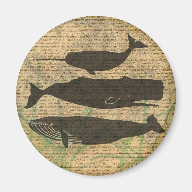 Íman Vida marítima náutica antiaérea de baleia (Frente)