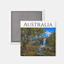 Vida Selvagem da Austrália Equidnas