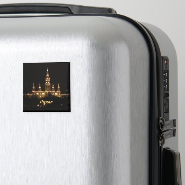 Íman Viena à noite (In Situ (Luggage))