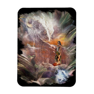 Íman Vignette noturno do casamento indiano americano