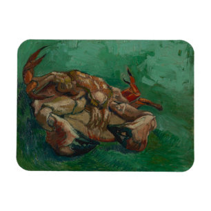 Íman Vincent Van Gogh, Caranguejo nas costas