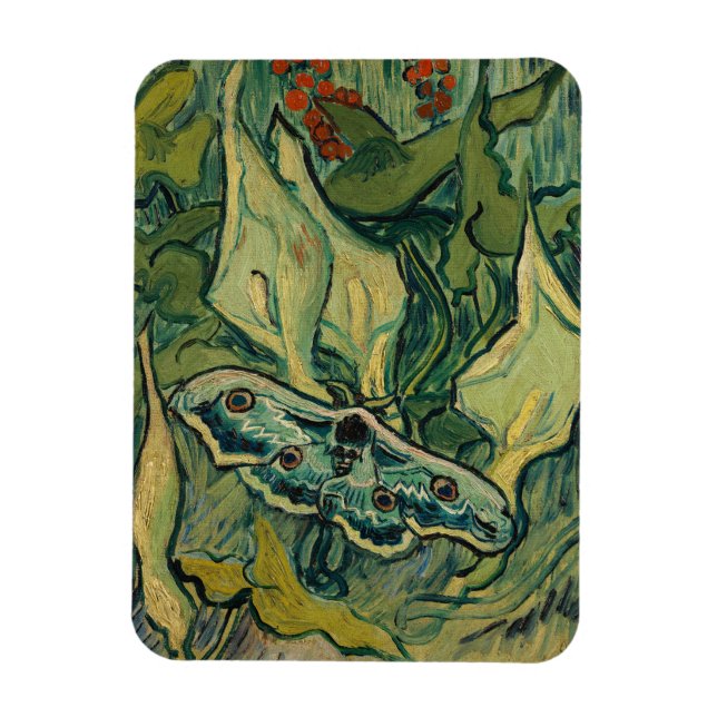 Íman Vincent van Gogh - Giant Peacock Moth (Vertical)