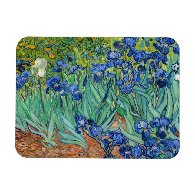 Íman Vincent Van Gogh - Íris (Horizontal)