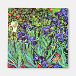 Íman Vincent Van Gogh - Íris - Amante de Flores Arte Fi