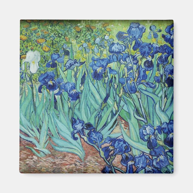 Íman Vincent van Gogh Irises (Frente)