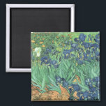 Íman Vincent van Gogh | Irlandeses, 1889<br><div class="desc">Irises,  1889 | por Vincent van Gogh | Art Location: J. Paul Getty Museum,  Los Angeles,  EUA | Artista neerlandês | Número de recolha de imagens: BAL40070</div>