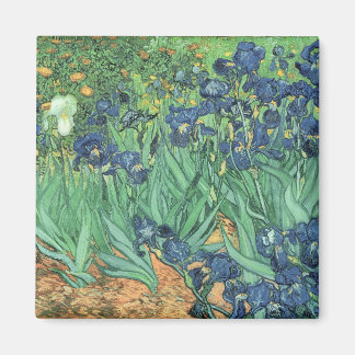 Íman Vincent van Gogh | Irlandeses, 1889