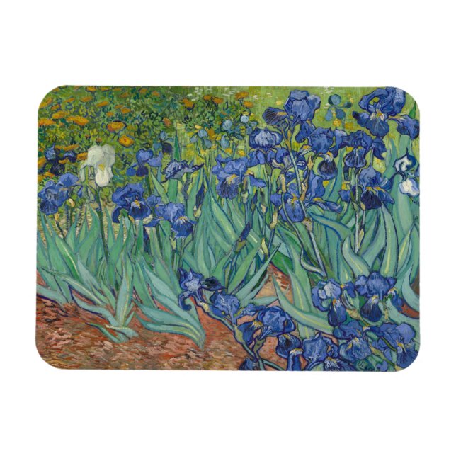 Íman Vincent Van Gogh, irlandeses, Les Iris (Horizontal)