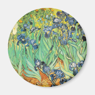 Íman Vincent Van Gogh - Irrises