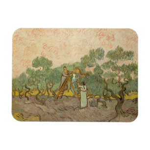 Íman Vincent van Gogh - Mulheres Escolhendo Azeitonas