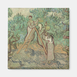 Íman Vincent van Gogh o pomar verde-oliva