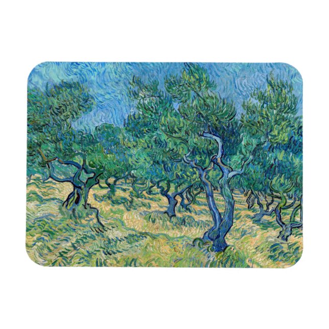 Íman Vincent van Gogh - Olival (Horizontal)