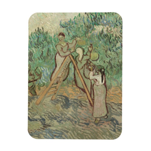 Íman Vincent Van Gogh | Pomar De Oliva (Vertical)