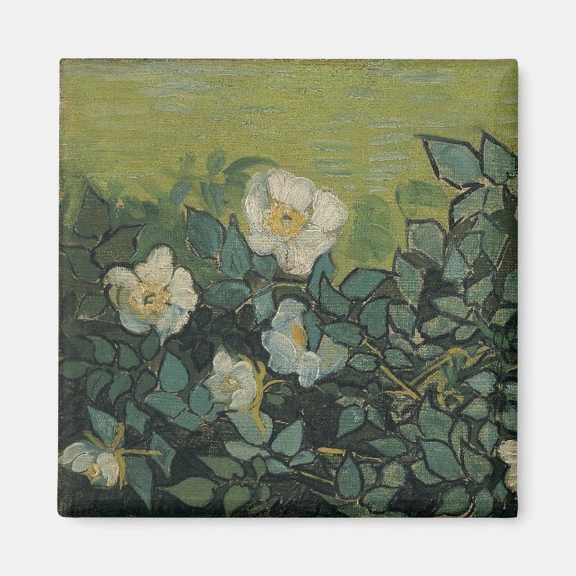 Íman Vincent van Gogh - Rosas selvagens (Frente)