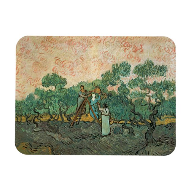 Íman Vincent van Gogh | Seletor De Oliva, Remessa De Sa (Horizontal)