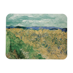 Íman Vincent Van Gogh, Wheatfield Com Cornflower