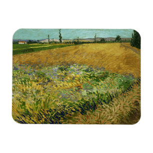 Íman Vincent Van Gogh, Wheatfield, Korenveld