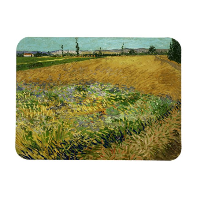 Íman Vincent Van Gogh, Wheatfield, Korenveld (Horizontal)
