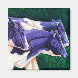 Íman Vinda em casa - vacas de Holstein