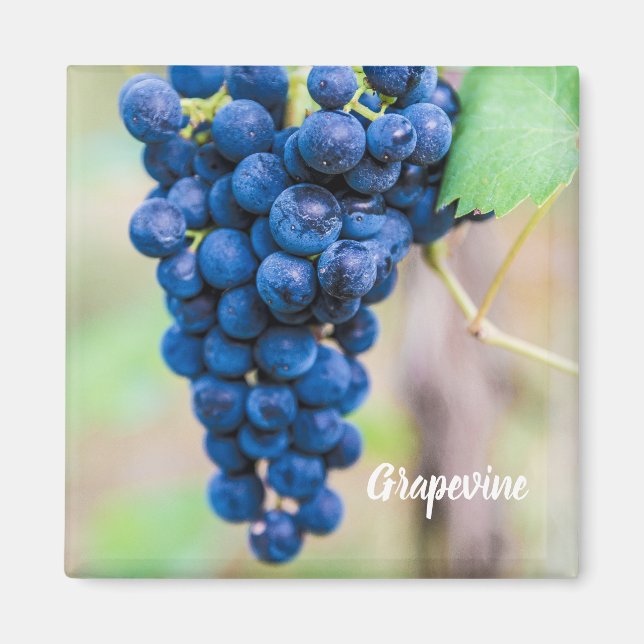 Íman Vinha de uva para vinho e para vinho (Frente)