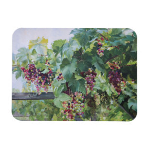 Íman Vinha do Vale do Loire – Pintura de Uvas Francesas