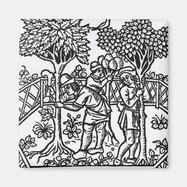 Íman Vinhas Em Tensão (Frente)