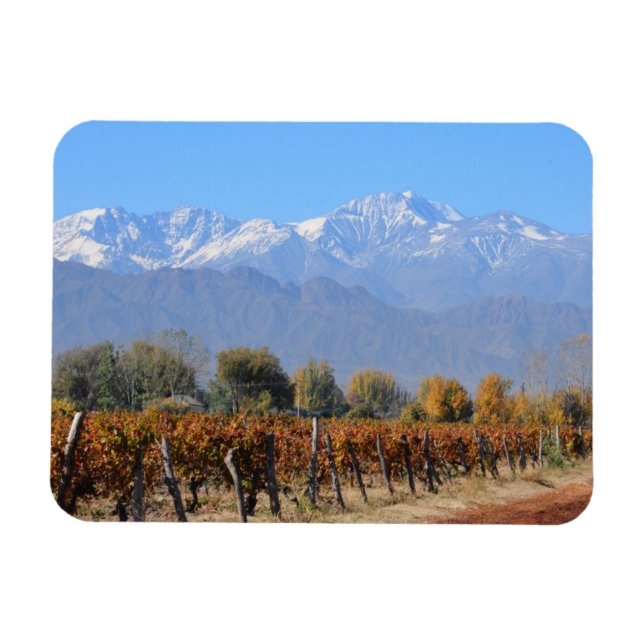 Íman Vinhas Na Queda De Mendoza, Argentina (Horizontal)