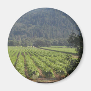 Íman Vinhedos de Napa Valley mim